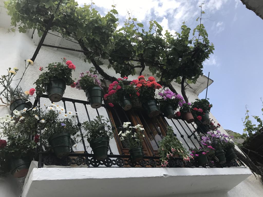 Ferienwohnung La Ermita Del Poqueira Bubión Exterior foto
